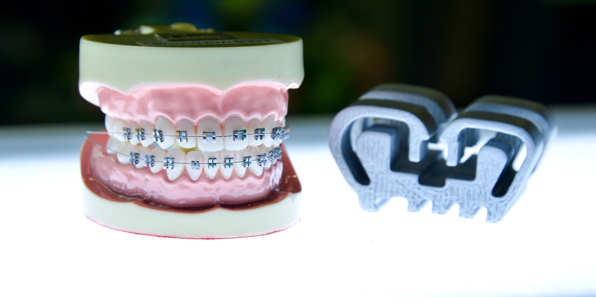 Flexibrace non-ligating bracket system on a typodont
